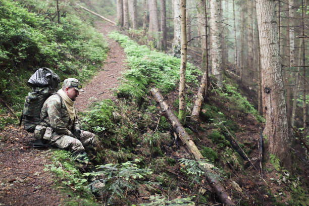 istock Active healthy man hiking in beautiful forest 965699634