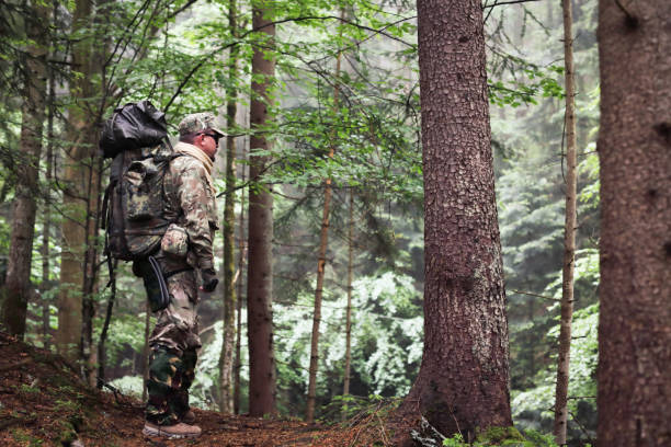 istock Active healthy man hiking in beautiful forest 965701910