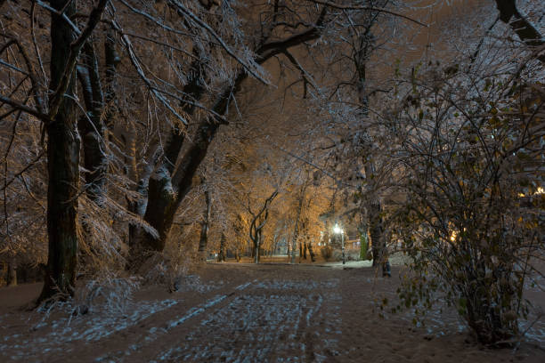 Heavy snow storm in Bergen, Norway