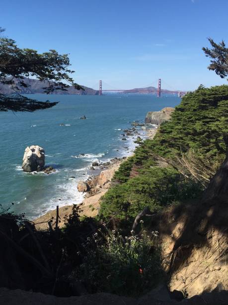 istock View of the Golden Gate Bridge from Land's End, CA 965702460