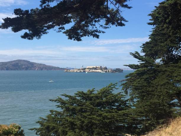 istock View of Alcatraz Island from Land's End, CA 965702470