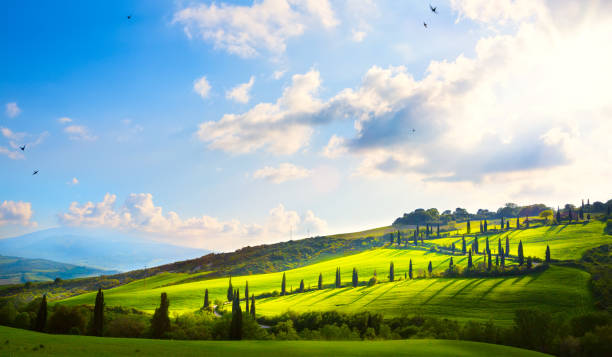 istock italy; tuscany landscape; hillside road, cypresses and fields 965706454