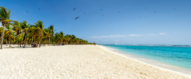 Panoramic view of a white sand beach with coconut trees in the Caribbean sea. Cayo Sombrero at Morrocoy National Park, Venezuela.