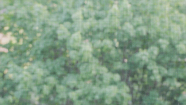 istock Mosquito net on the window. Protection against insects. Background. 965719266