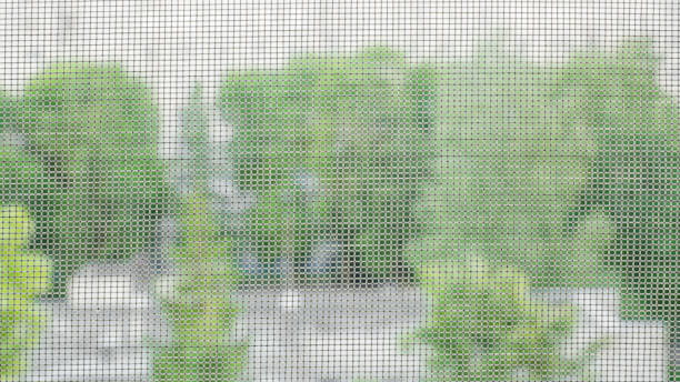 istock Mosquito net on the window. Protection against insects. Background. 965719284