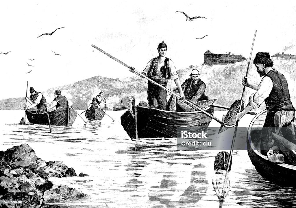 Fishermen in boats fishing conches Illustration from 19th century Engraved Image stock illustration