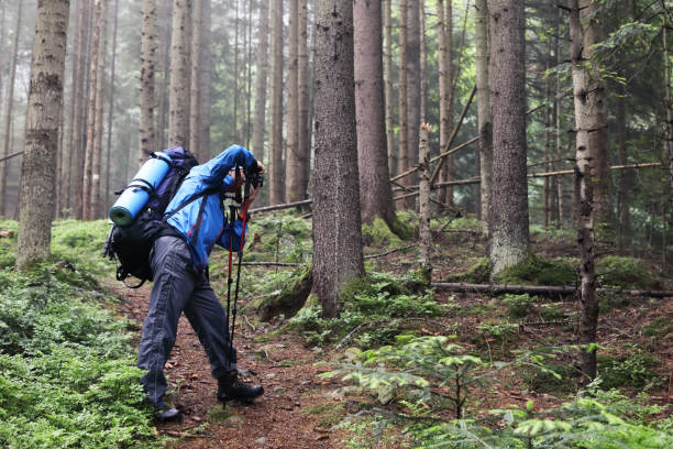 istock Photographer with camera on tripod shooting a landscape in forest 965724496
