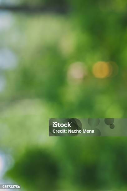 Abstract Green Bokeh Out Of Focus Green Blurred Background And Texture For Design Leaves And Trees Out Of Focus Light Shinning Tree Leaves - Fotografias de stock e mais imagens de Abstrato