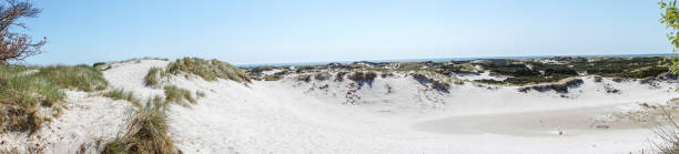 istock Idyllic sand dunes in Bornholm, Denmark on a day in summer 965740270