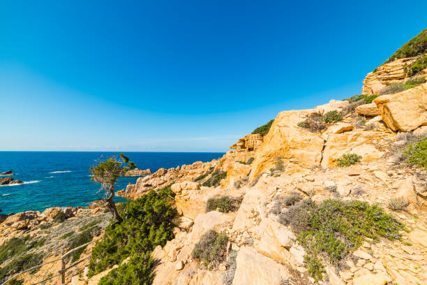 istock Rocky shore in Costa Paradiso 965747300