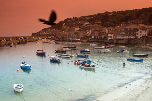 Mousehole Harbour and Seagull Picture of Mousehole Harbour, Cornwall Uk, Photobombed by a Seagull! photo bomb stock pictures, royalty-free photos & images