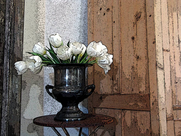 Wilted pink tulips