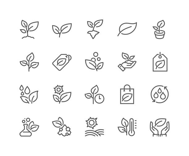 Line Plants Icons Simple Set of Plants Related Vector Line Icons. Contains such Icons as Leaf on Hand, Growing Conditions, Leafs and more. Editable Stroke. 48x48 Pixel Perfect. hands holding plant soil stock illustrations