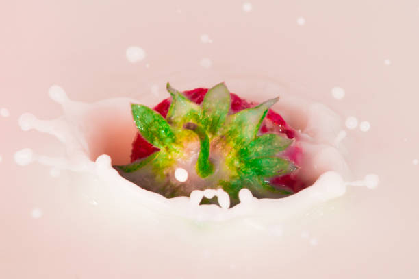pure falling strawberry into milk with splash