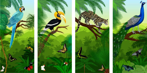 vectorset dschungel regenwald vertikale baners mit nebelparder, peacoock, blauer ara, großes hornbill und schmetterlinge - nashornvogel stock-grafiken, -clipart, -cartoons und -symbole