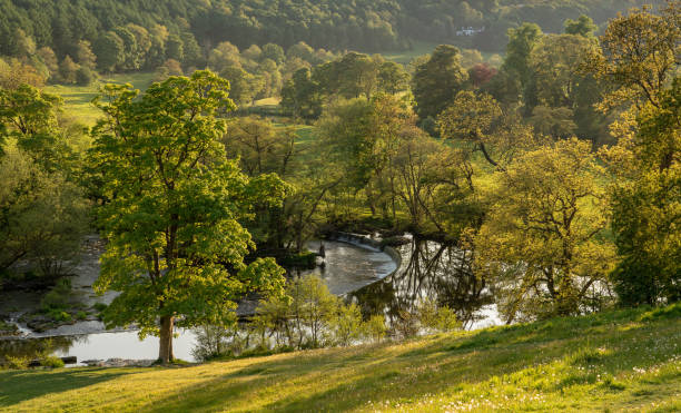 horseshoe falls fuori llangollen in galles - dee river river denbighshire wales foto e immagini stock