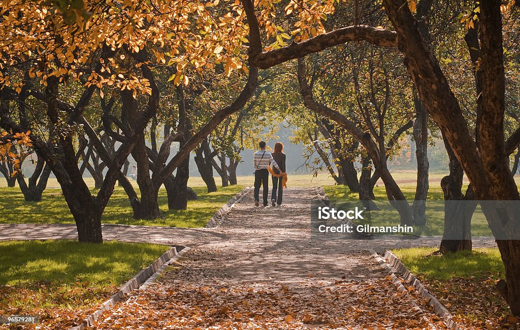 Rear view of a couple walking down a park path in autumn Autumn in Public Garden. Young couple on a path Autumn Stock Photo