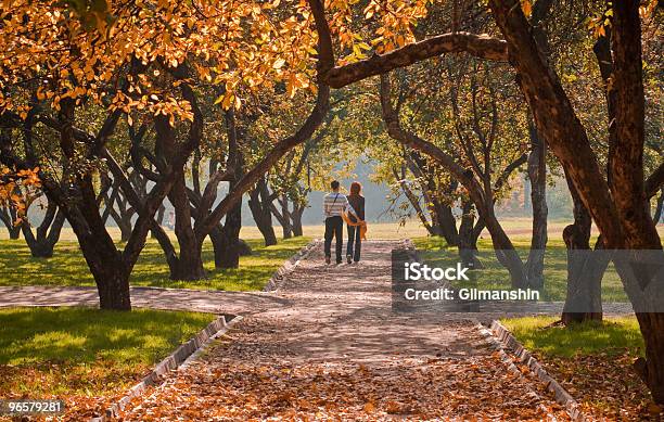 Rear View Of A Couple Walking Down A Park Path In Autumn Stock Photo - Download Image Now