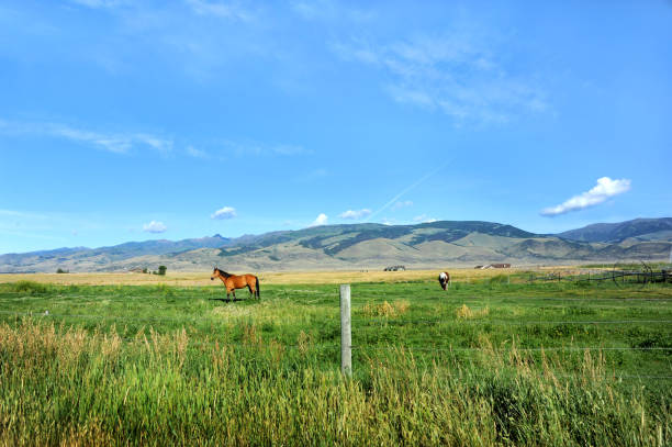 Beautiful farm land with horses and irrigation equipment nestle at the foothills of the Gallatin Mountainn Range.  This place called Paradise Valley is in Montana.