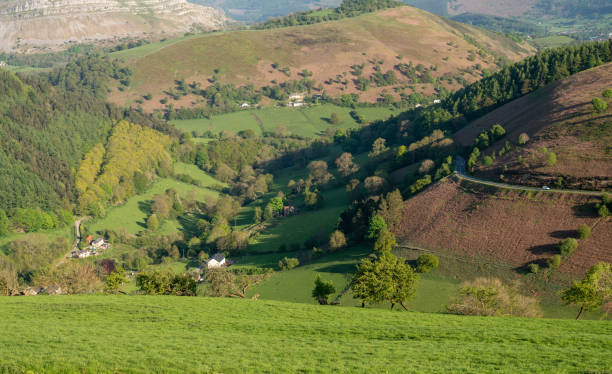 dolina w pobliżu llangollen na drodze horseshoe pass - llangollen zdjęcia i obrazy z banku zdjęć