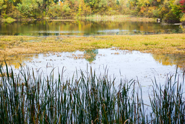 istock Beautiful lake in autumn 965834788