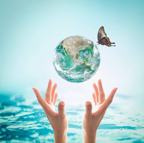 istock World ocean day, saving water campaign, sustainable ecological ecosystems concept with green earth on woman's hands on blue sea background : Element of this image furnished by NASA 965850658