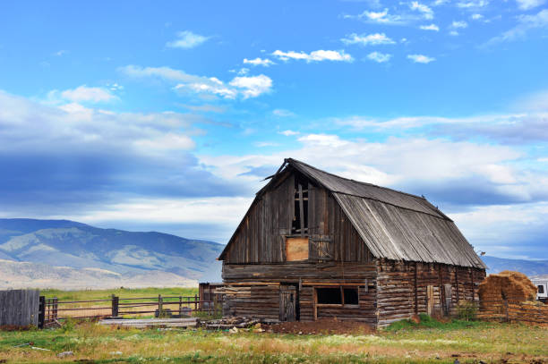 istock Early Morning on the Farm 965850994
