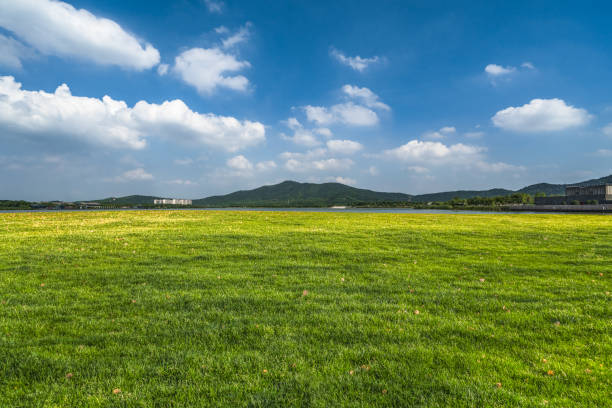 istock Blue sky panorama with clouds over tops of green trees 965889974