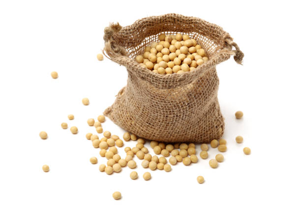 istock Isolated shot of stacked dried soybeans on white background 965903272