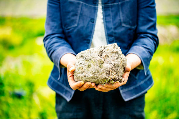 istock Old woman holds in her hands a big soil. 965908886