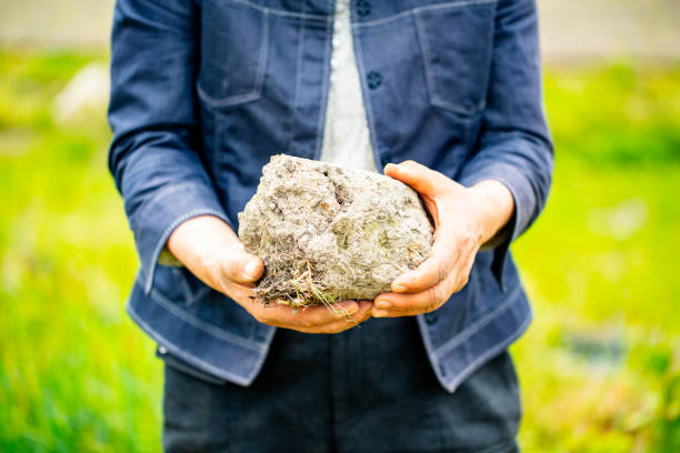 istock Old woman holds in her hands a big soil. 965908912