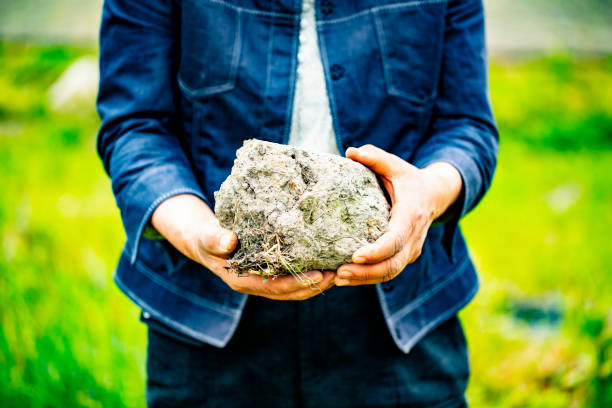istock Old woman holds in her hands a big soil. 965908954