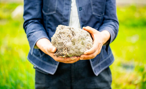 istock Old woman holds in her hands a big soil. 965908994