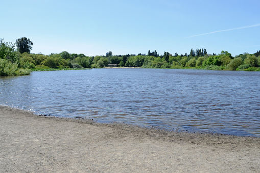 Looking south at Trout Lake in Vancouver, B.C.