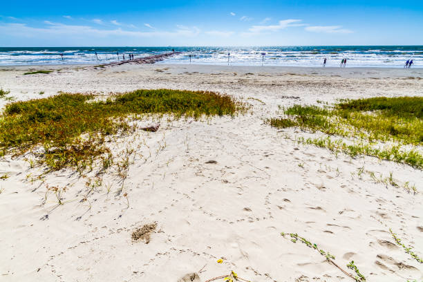 istock Beautiful Surf and Sand on a Summertime Ocean Beach. 965915310