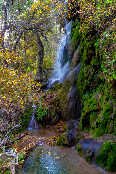 istock Picturesque Gorman Falls in Texas Surrounded by Bright Fall Foliage and Green Moss. 965917186