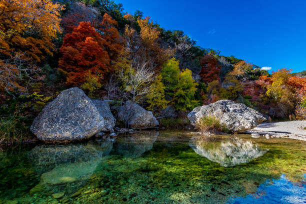 Amazing Fall Colors at Clear Pool in Lost Maples State Park, Texas Beautiful Crystal Clear Pool with Several Large Boulders on Sabinal River with Amazing Very Bright Fall Foliage at Lost Maples State Park, Texas state park photos stock pictures, royalty-free photos & images
