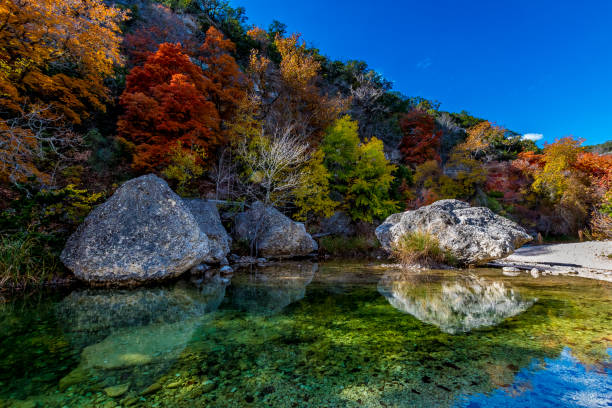 niesamowite jesienne kolory w clear pool w lost maples state park, texas - maple zdjęcia i obrazy z banku zdjęć