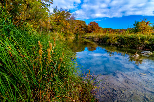 clear stream in texas mit herbstlaub. - autumn water leaf stream stock-fotos und bilder