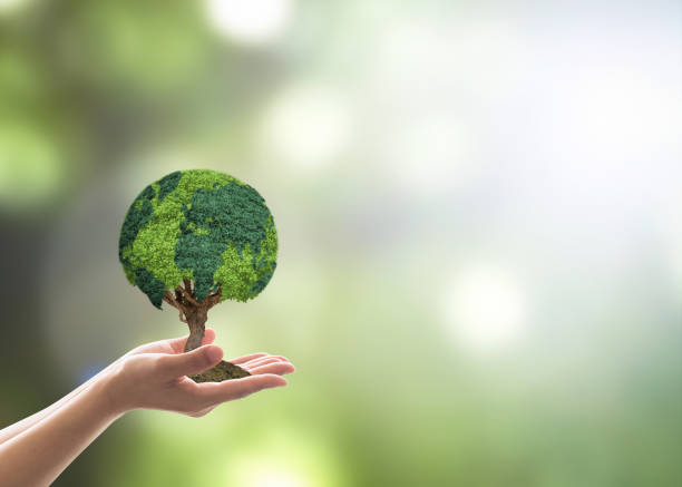 istock Tree globe growing on volunteer's hand for earth day, sustainable environment protection campaign and natural conservation concept 965967430