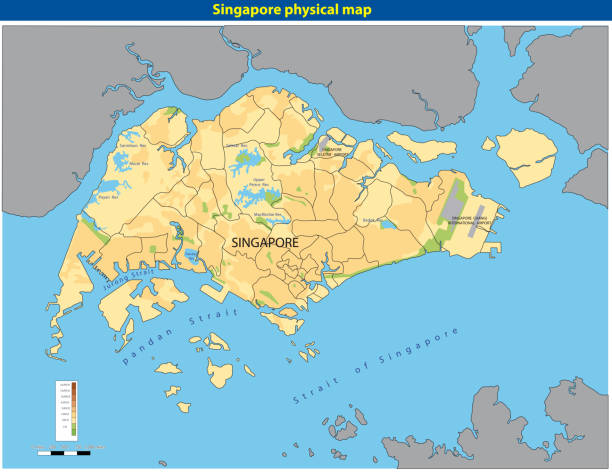 singaporephysicalmap의 벡터 일러스트 레이 션 - silhouette cartography singapore map stock illustrations