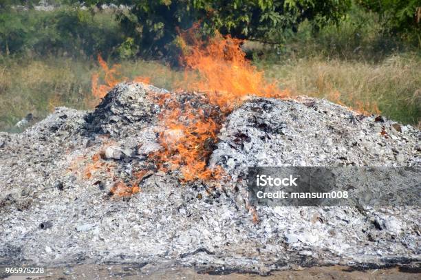 Feuer Brennt Asche Im Garten Der Natur Stockfoto und mehr Bilder von Asche - Asche, Ausgedörrt, Brennen