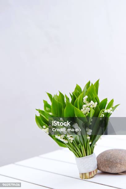 Lily Des Valley Stockfoto und mehr Bilder von Baumblüte - Baumblüte, Blume, Blumenbouqet