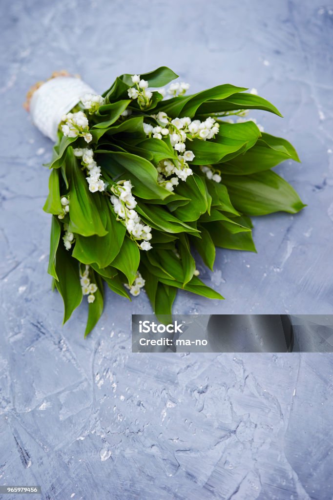 Lily of the valley Beauty Stock Photo