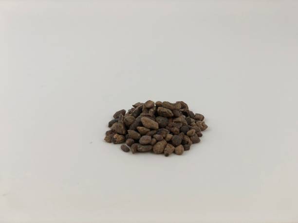 istock cleanest cocoa nib pile 965982828