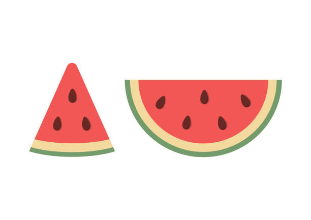 ilustraciones, imágenes clip art, dibujos animados e iconos de stock de icono de rebanada de sandía fresca, ilustración de vector de diseño plano. - watermelon