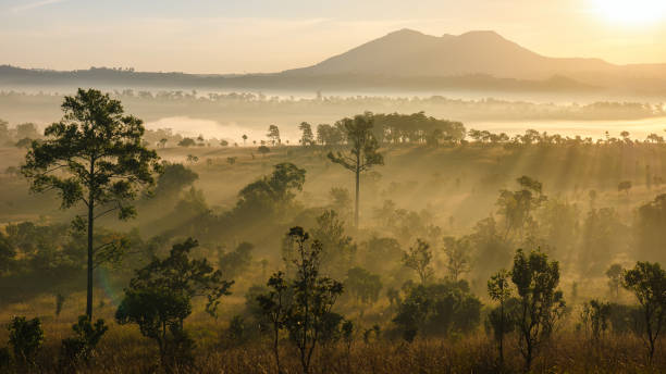 istock Fuji of Thailand 965987020