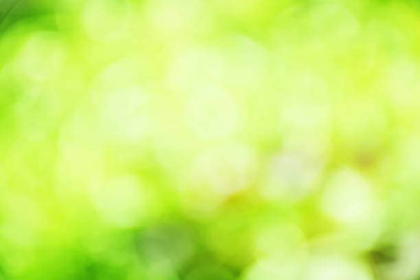 istock green color abstract background with blurred defocus bokeh light for template 965988650
