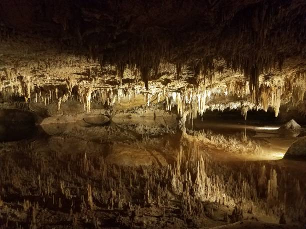istock brown stalactites and stalagmites in cave or cavern with water 966002560