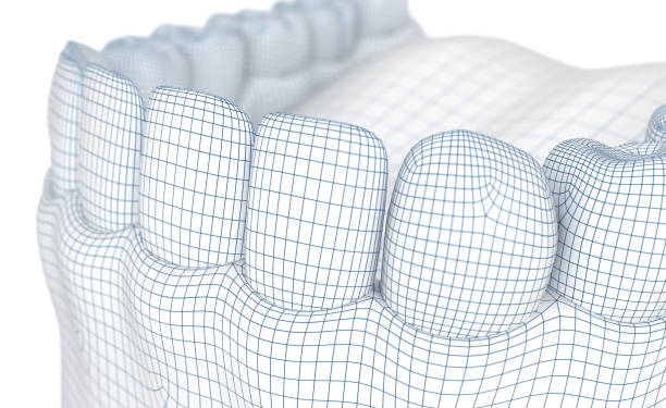 istock Mouth gum and teeth. Wire 3d model illustration 966008268